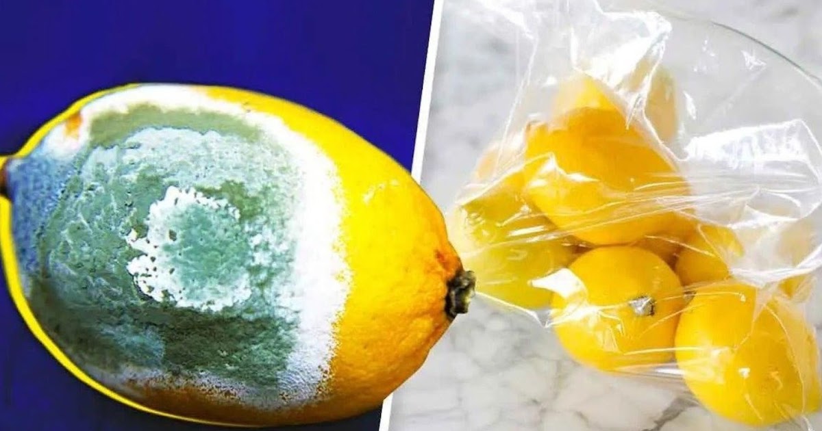 How to Store Lemons Longer to Prevent Them from Spoiling: 4 Simple Tricks