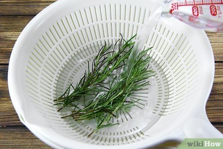 Rosemary: How to Grow, Cook, and Use