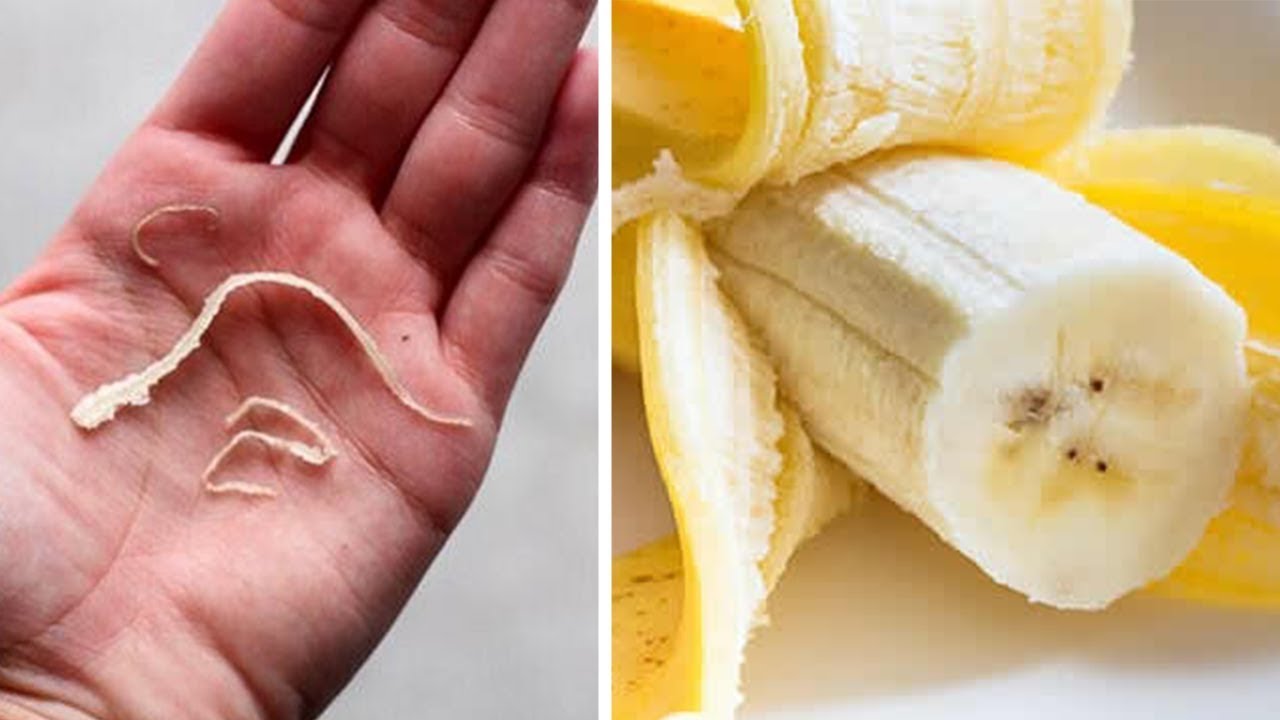 Phloem Bundles: Unwanted Strings on Your Banana