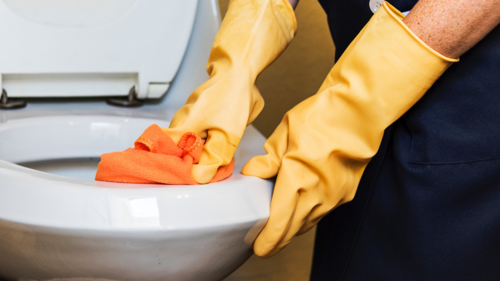 Toilet Cleaning: The 5-Star Hotel Method