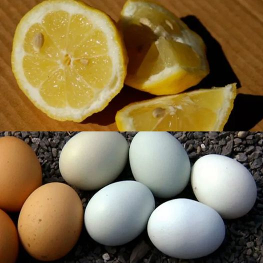 Unlocking the Magic of Lemons and Eggs: A Recipe for Well-being