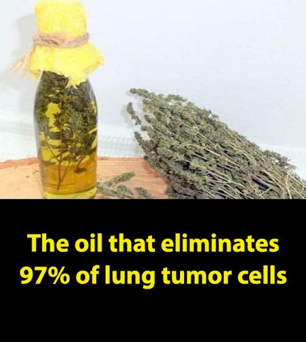 The oil that eliminates 97% of lung tumor cells with a powerful antiseptic effect.