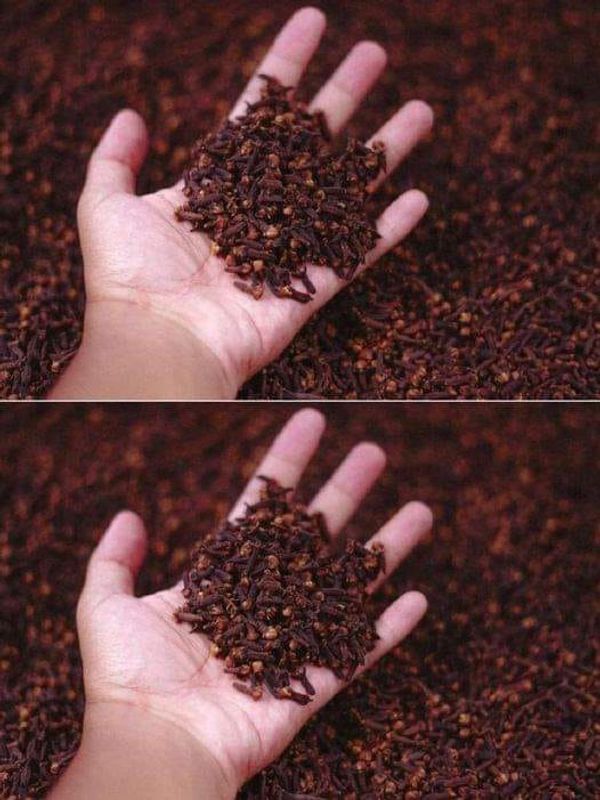 7 Clove Tips for Women: Unlock the Power of this Ancient Spice