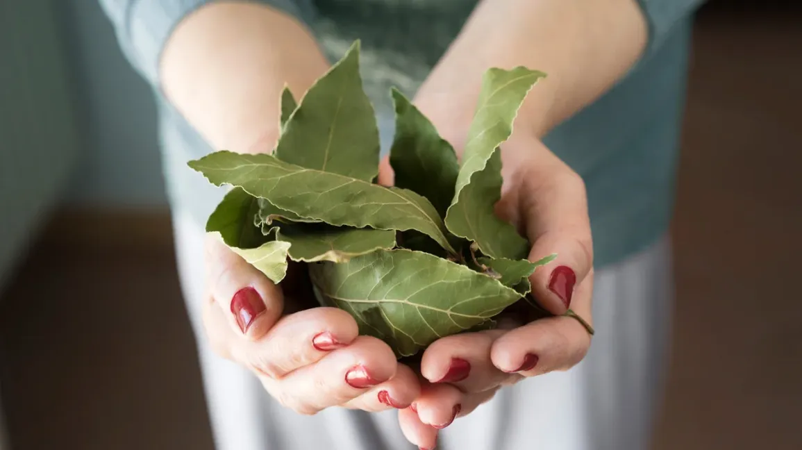 Salt and Bay Leaf: Hidden Uses Worth Knowing