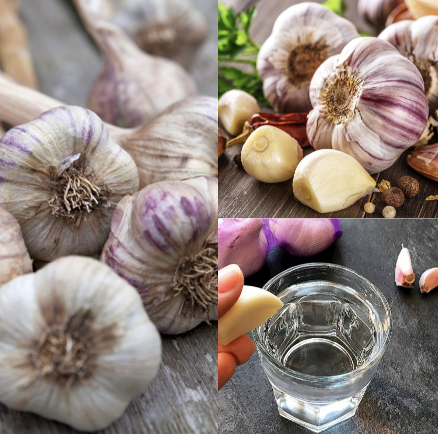 The Surprising Health Benefits of Garlic