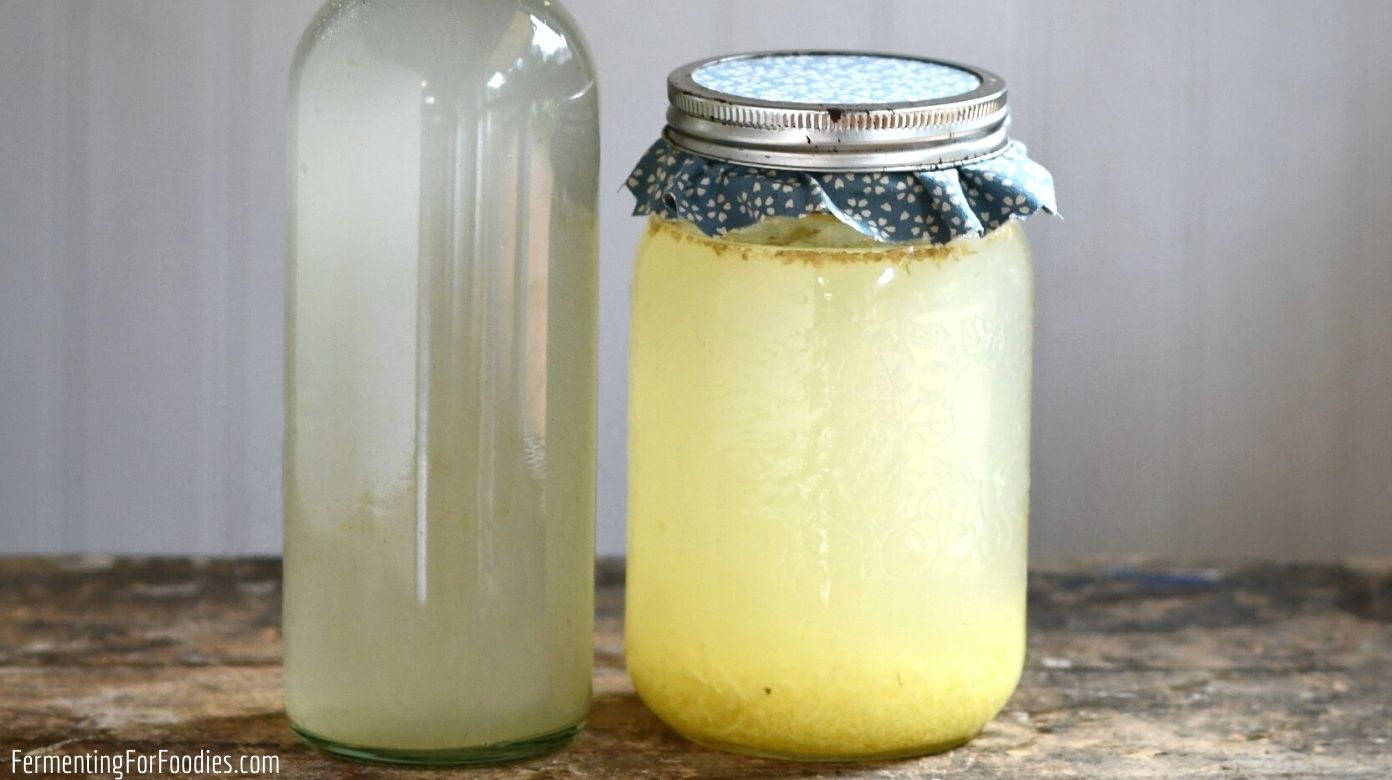 Make Your Own Homemade Ginger Beer