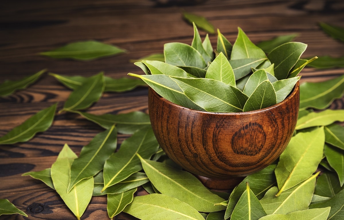 Enhancing Your Home’s Ambiance with the Natural Aroma of Bay Leaves