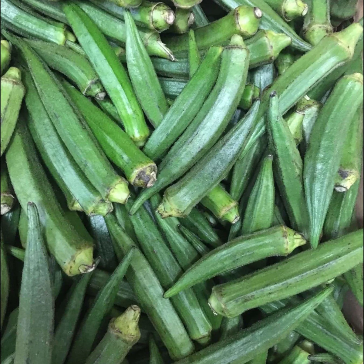 The Amazing Benefits of Okra: A Superfood for Your Health