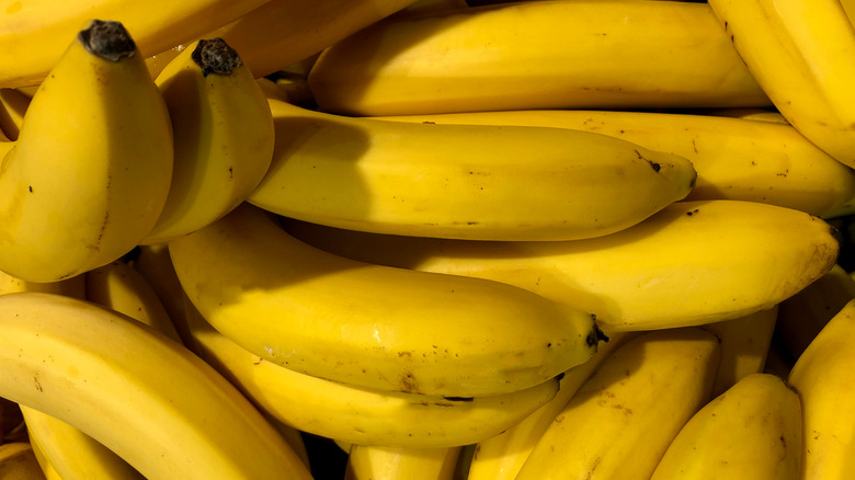 If You Are a Banana Lover, Read These 10 Shocking Facts