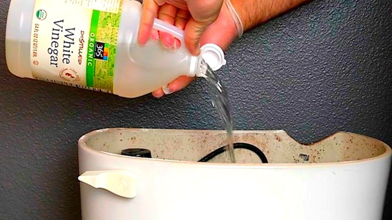 The Ultimate Toilet Cleaning Hack: Just Flush and Forget!