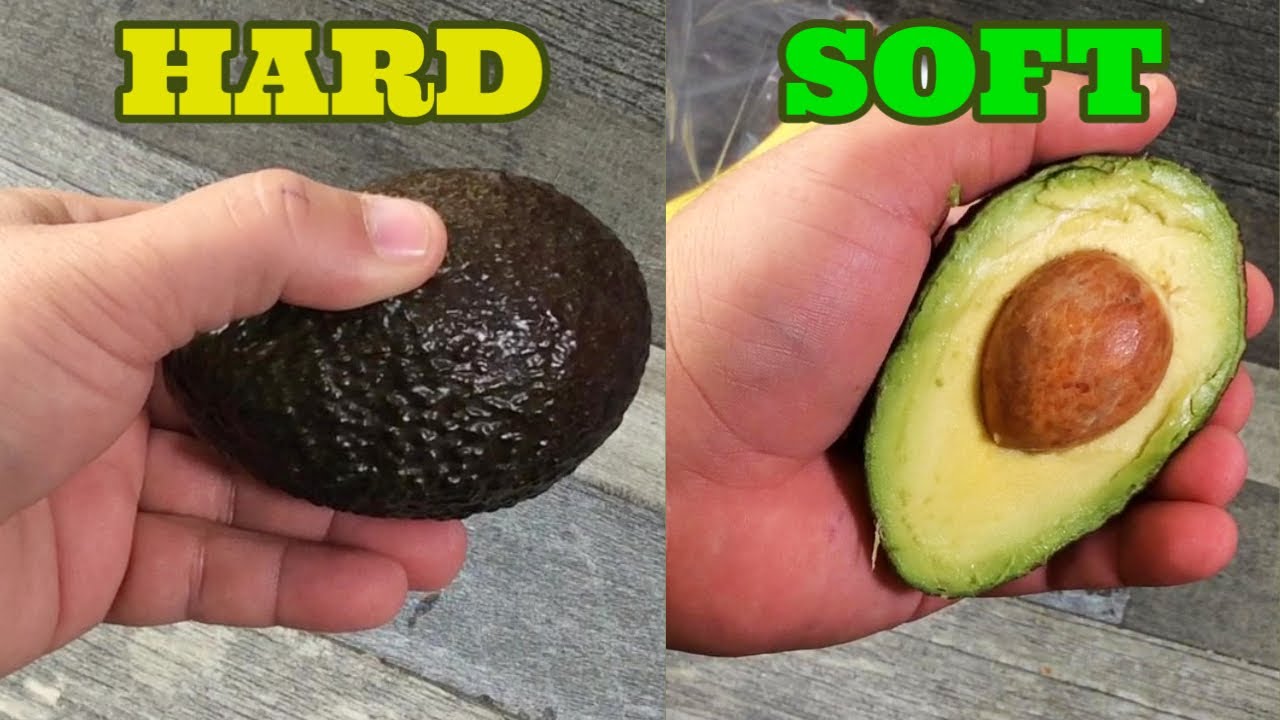 Discover How to Ripen an Avocado in Just 10 Minutes… or Even 30 Seconds!