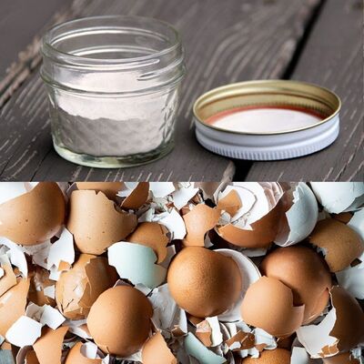 Harnessing the Hidden Goodness of Eggshells: A Homemade Calcium Treasure