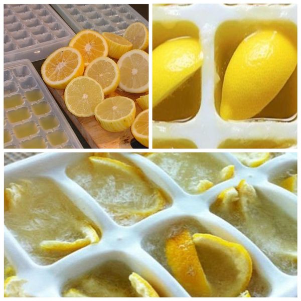 The Surprising Health Benefits of Freezing Lemons