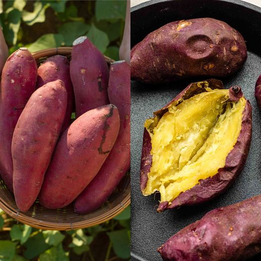 The Sweet Side of Health: Embracing the Wonders of Sweet Potatoes in Your Kitchen