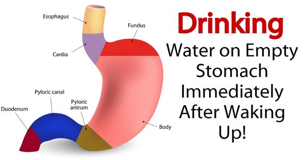 The Amazing Benefits of Drinking Water on Empty Stomach