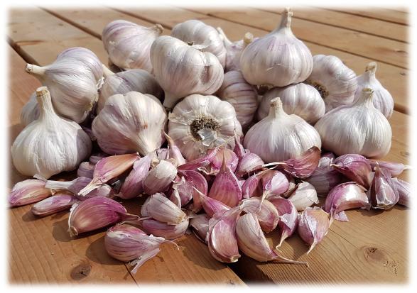 Navigating the Dangers of Overindulging in Garlic