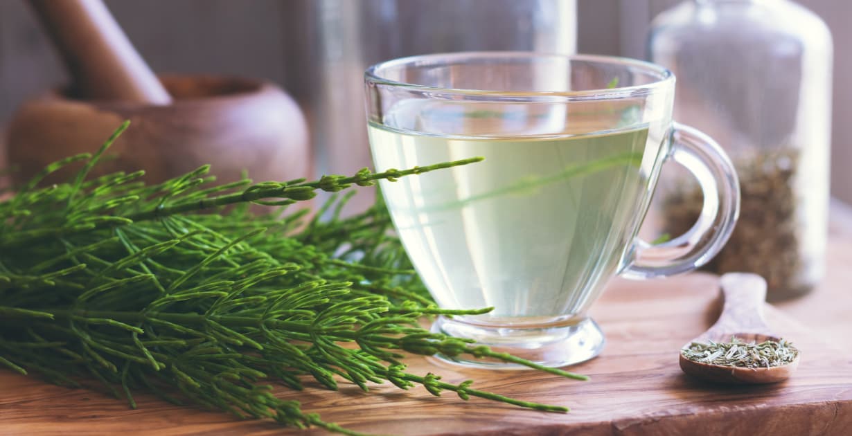 The Healing Virtues of Horsetail Tea