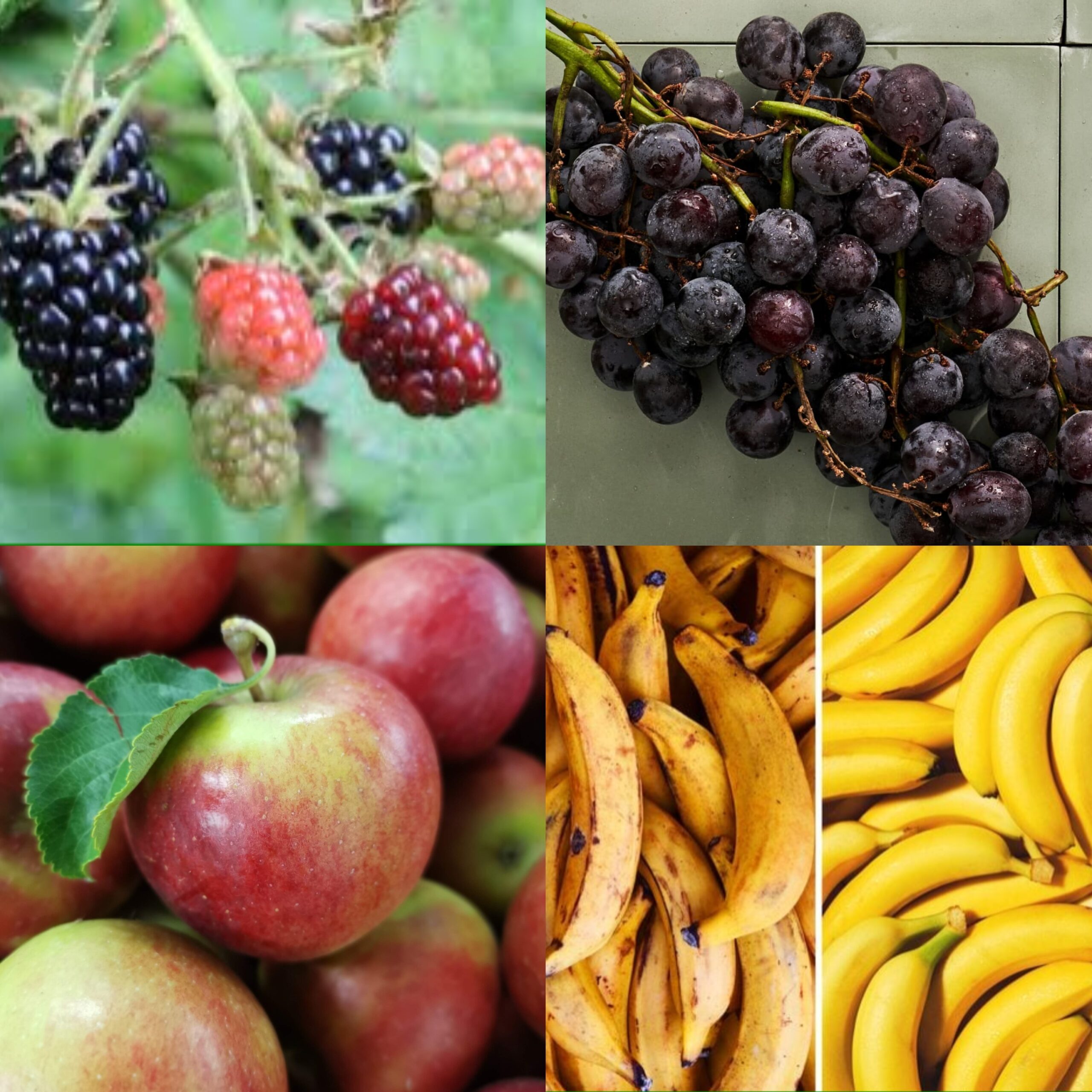 Discover the Power of Nature: 8 Fruits That Combat Cancer