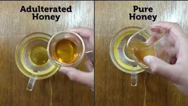 How to Determine Real Honey from Fake Honey