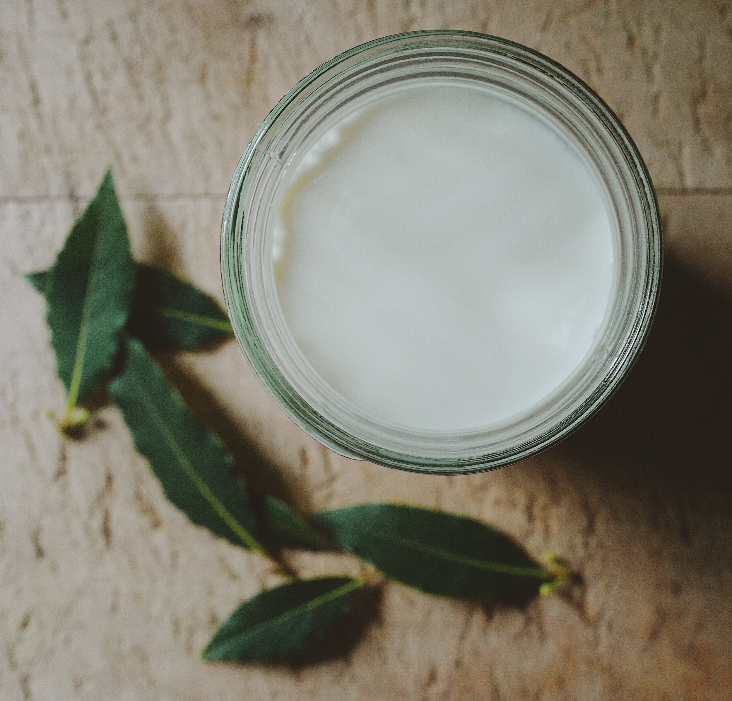 A Warm Embrace for Your Throat: Bay Leaves in Milk, The Overnight Cough Remedy