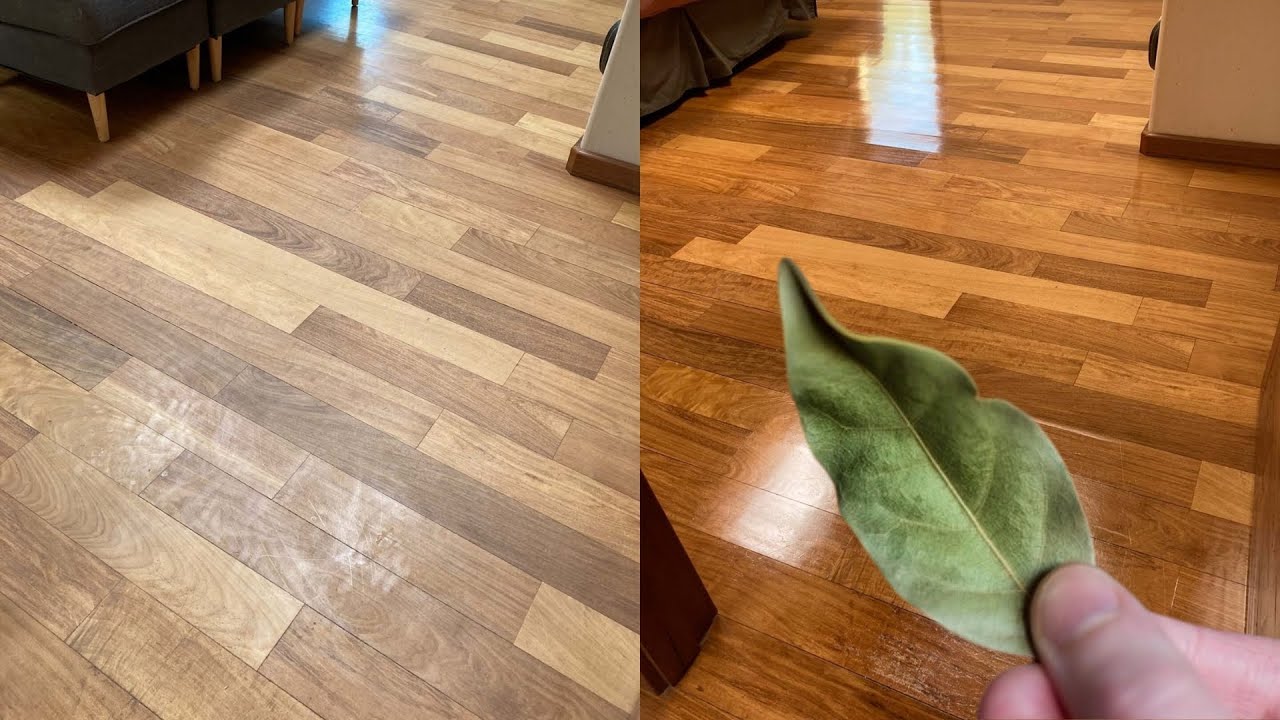 A Natural Sparkle: The Bay Leaf Cleaner for a Gleaming Home