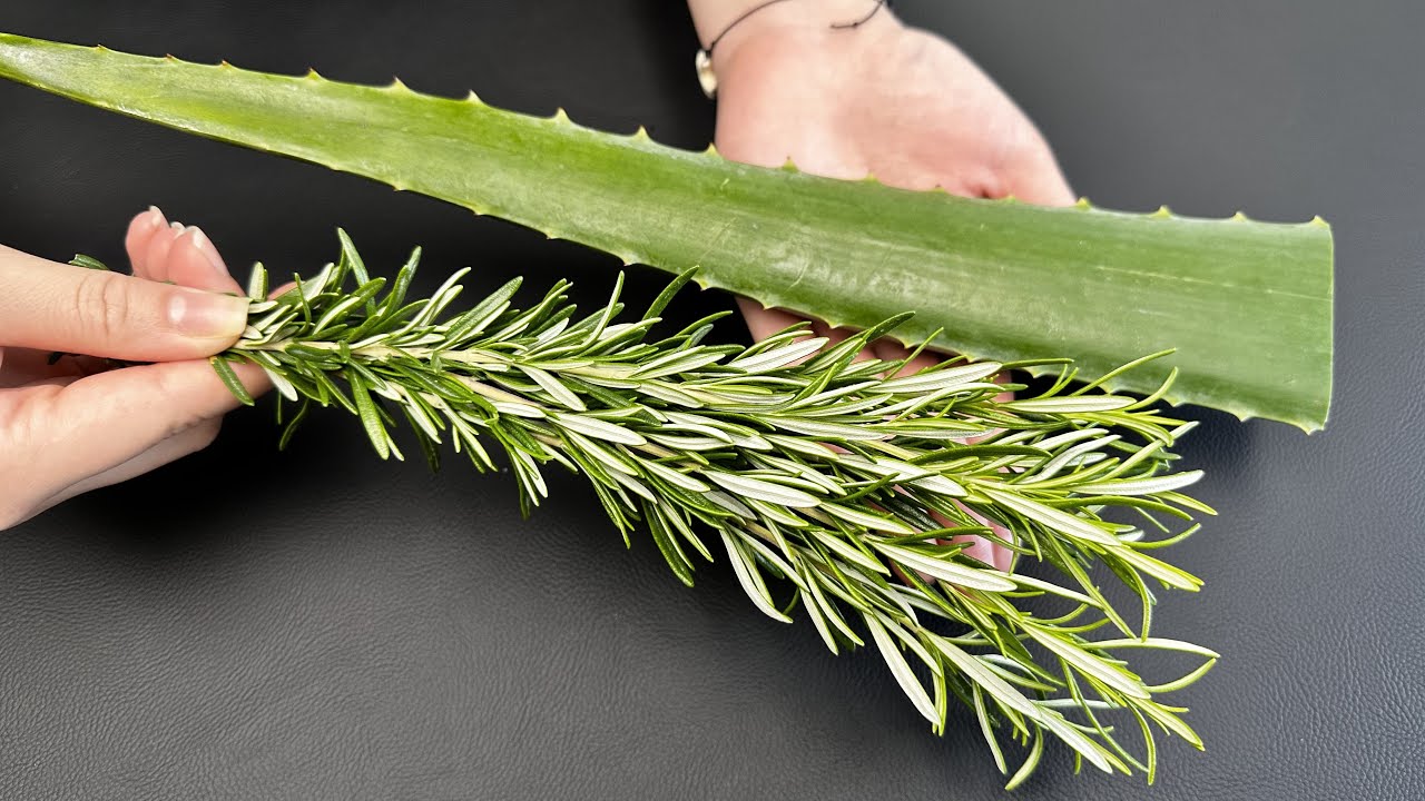 A Refreshing Path to Wellness: Aloe Vera and Rosemary Detox