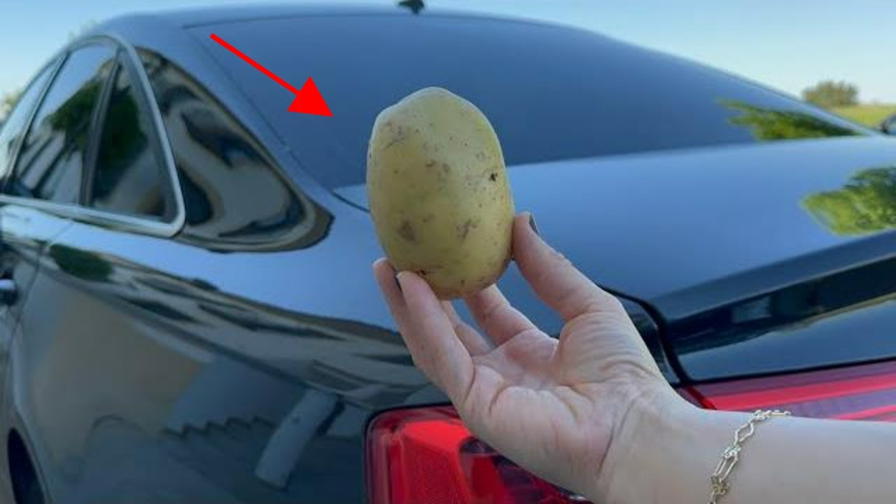 The Lifesaving Potato: An Unlikely Hero in Your Car