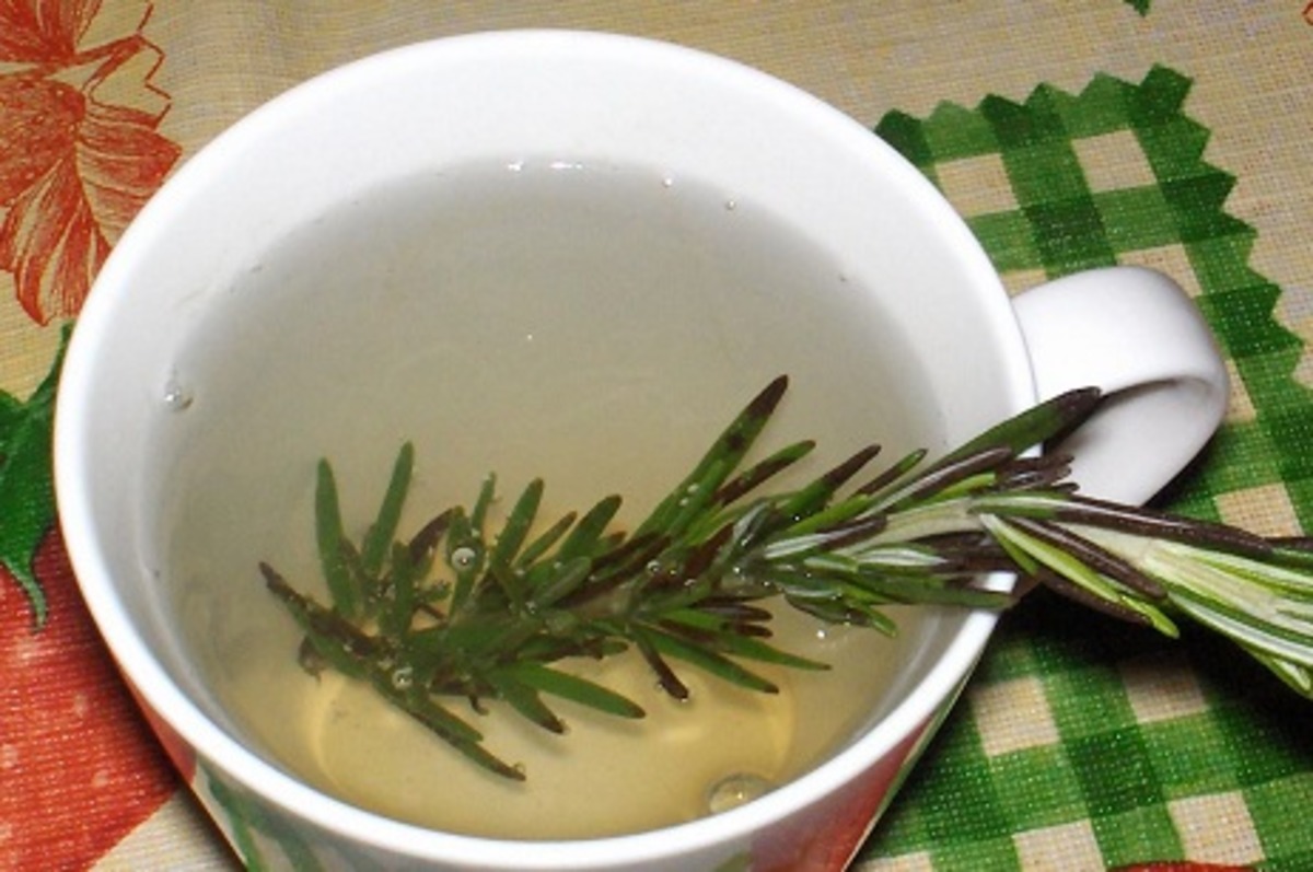 Discover the Refreshing Health Benefits of Rosemary Tea