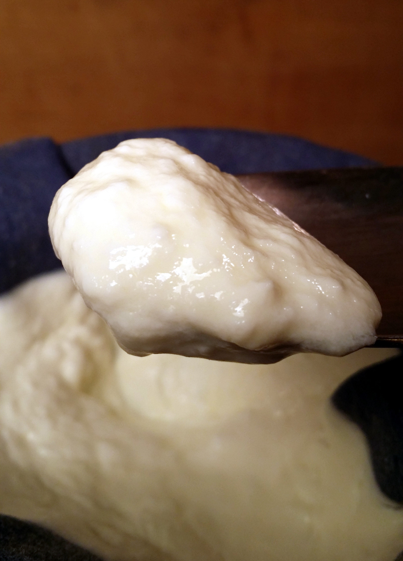 Homemade Oat Yogurt: A Probiotic Delight with Just One Ingredient!