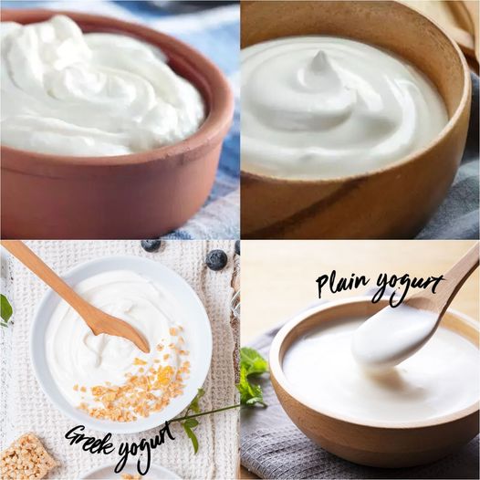 Diving into the Creamy Delight: 4 Benefits of Greek Yogurt Over Plain Yogurt