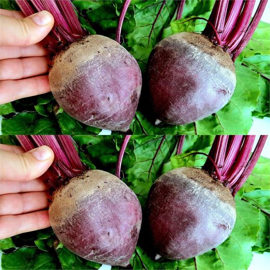 The Secret Recipe to Unlocking the Marvels of Red Beets