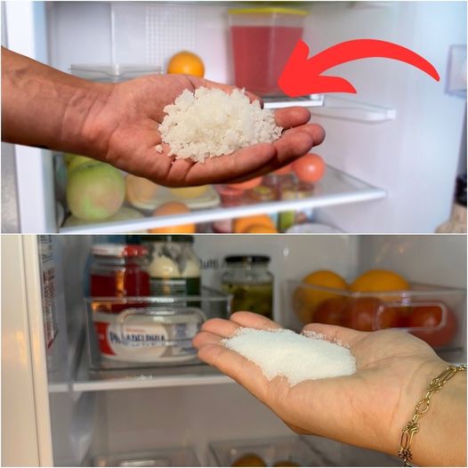 Why Use Salt in Your Refrigerator?