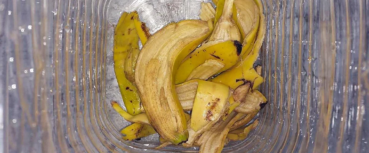 6 Banana Peel Tricks That Will Surprise You!