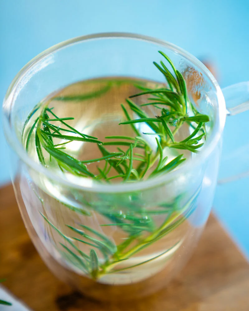 Savor the Aroma, Reap the Benefits: The Wonders of Rosemary Tea