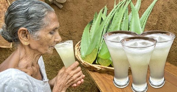 Grandma’s Secret: Aloe Vera Juice Unleashed!