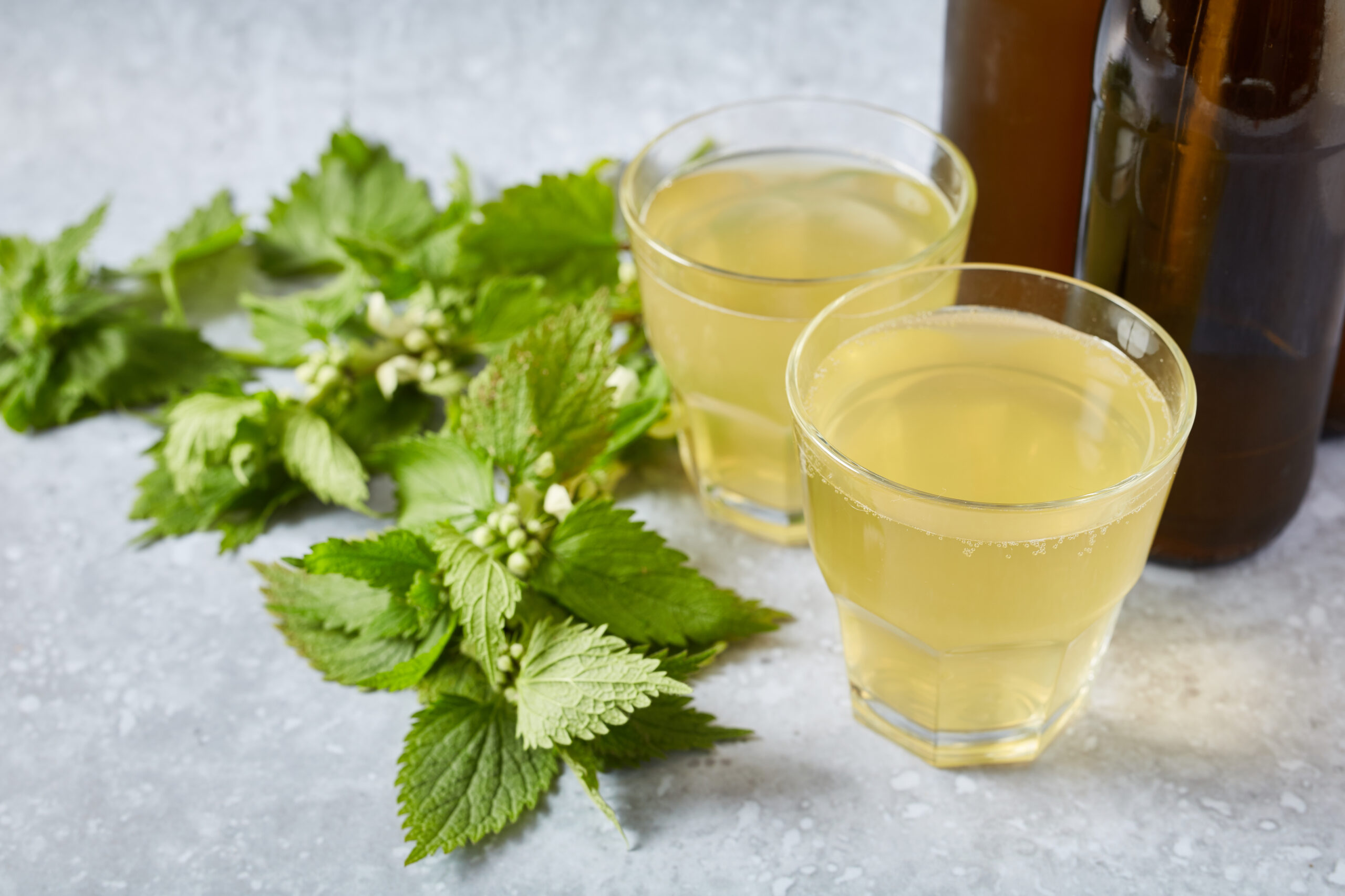 Refreshing Nettle and Lemon Syrup: A No-Cook Recipe for Natural Wellness