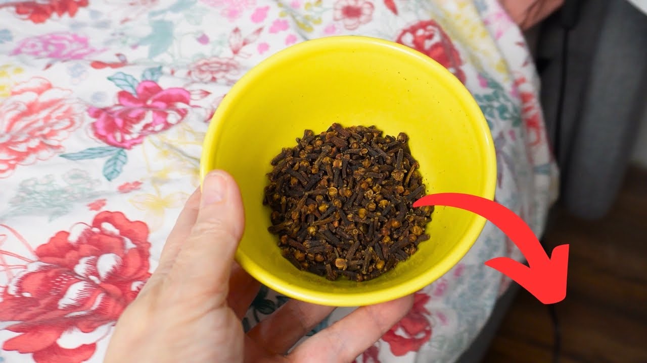 The Hidden Wonders of Cloves Under Your Bed