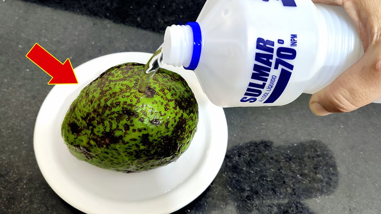 Discover the Unusual Pair: Alcohol and Avocado for Health Woes