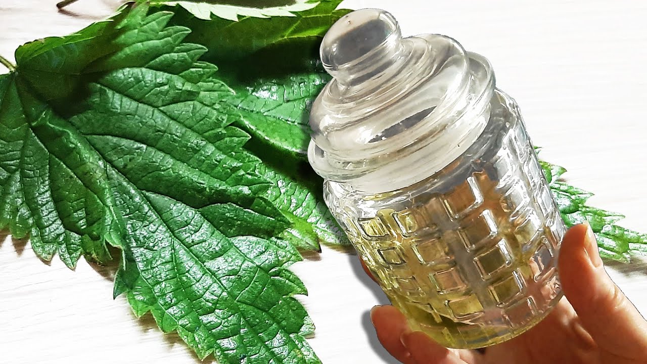 Discover the Surprising Relief: Nettle Oil for Bone and Joint Pain