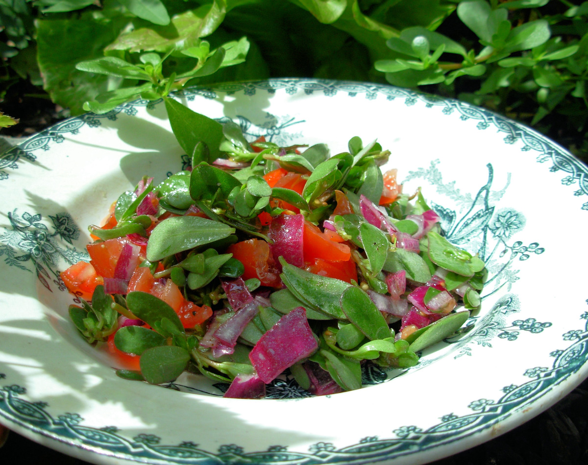 A Salad That Steals the Show: The Best Purslane Salad Experience