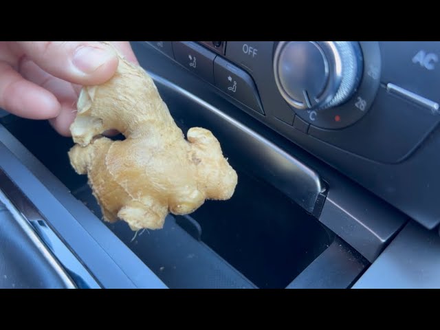 The Lifesaving Secret of Keeping Ginger in Your Car