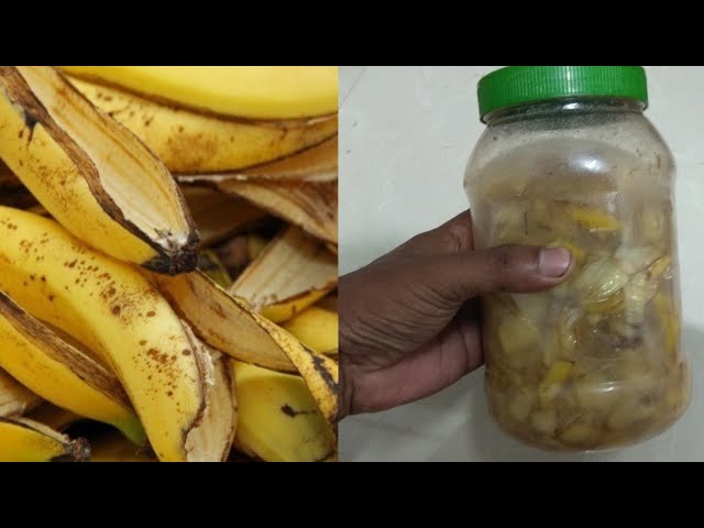 The Incredible Banana Peel: Why You’ll Never Toss It Again!