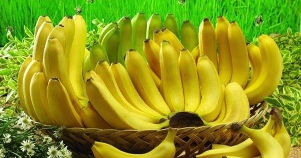 If You Are Banana Lover Read These 10 Shocking Facts (No.6 Is Very Important)