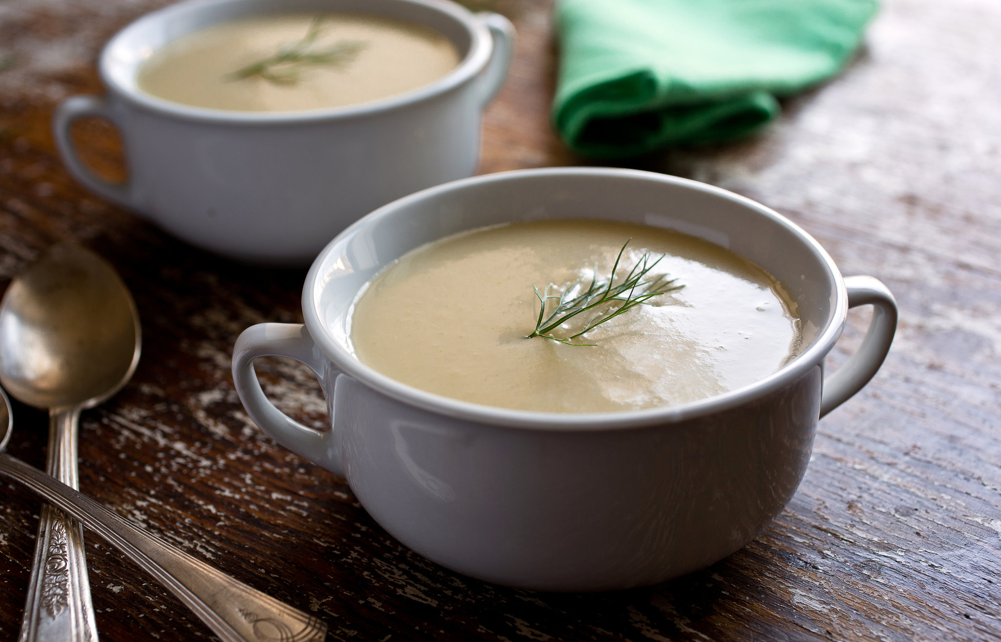 Fennel Soup: A Tasty Gut-Healing Elixir for Everyday Wellness