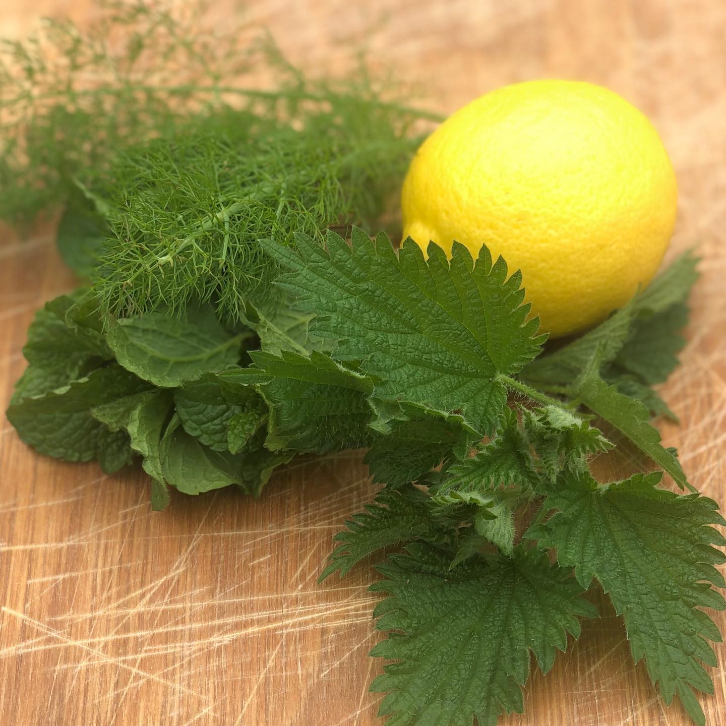 Refreshing Nettle and Lemon Syrup: A No-Cook, Preservative-Free Delight