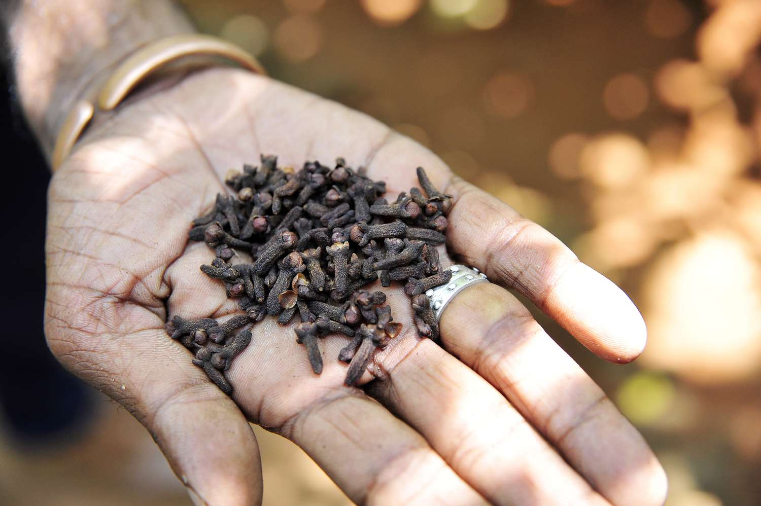 The Surprising Benefits of Cloves for Hand Health