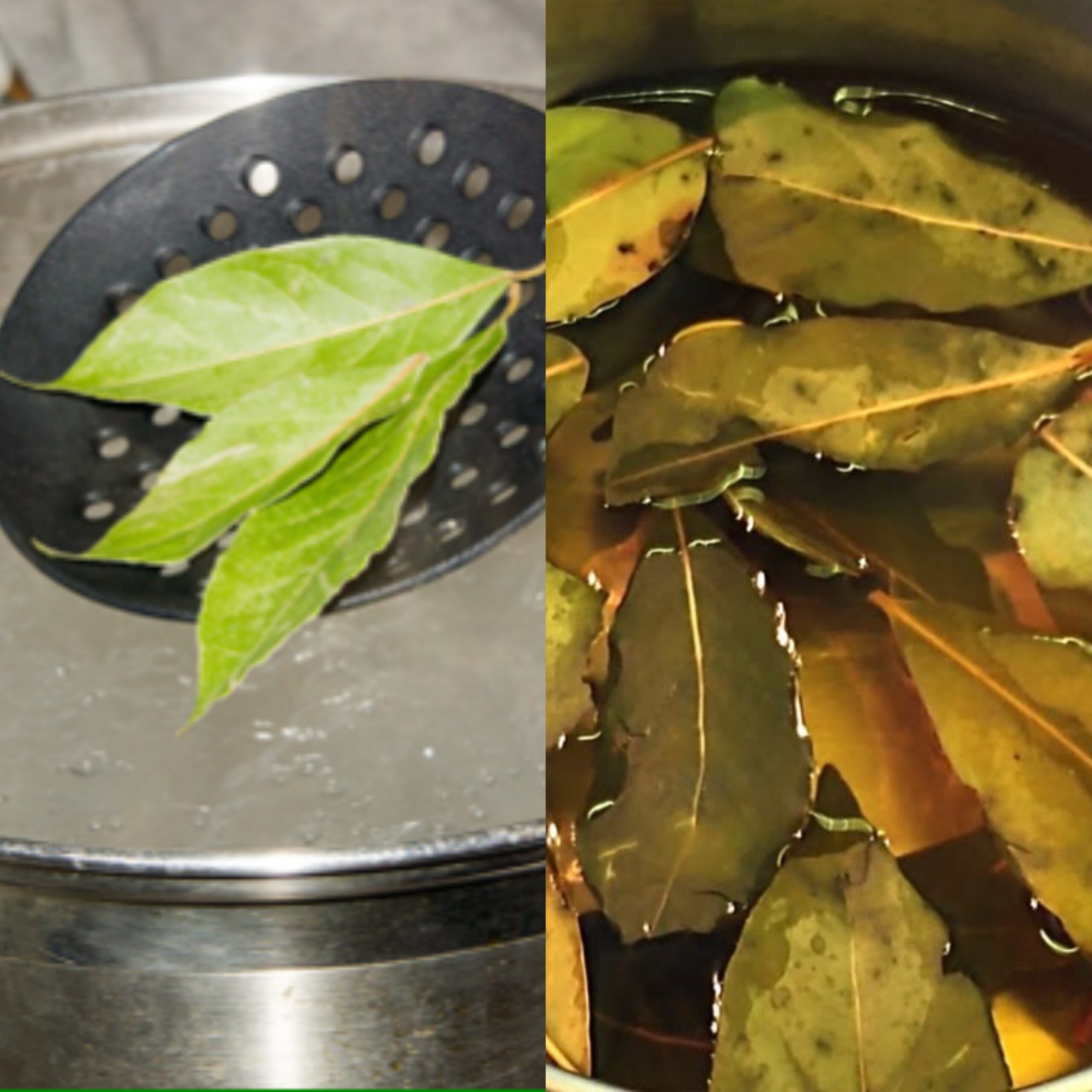 Discover the Benefits of Bay Leaf Tea