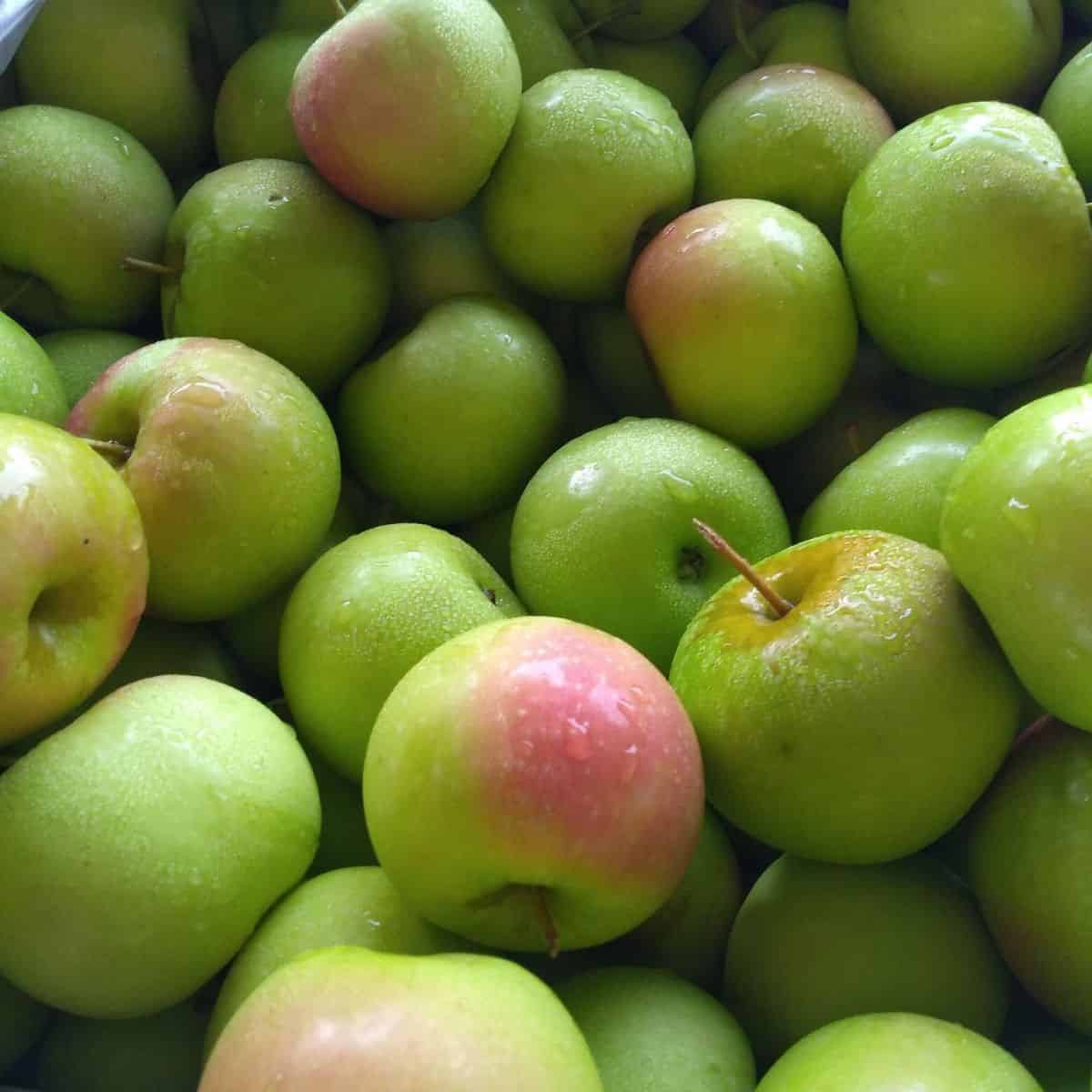 Discover the Apple’s Astonishing Health Powers: Nature’s Remedy for Coughs, Colds, and More!