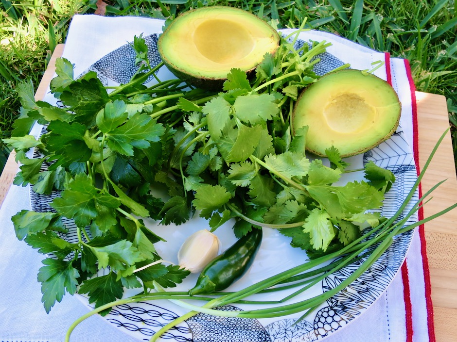 A Culinary Gem: Avocado and Parsley Recipe!