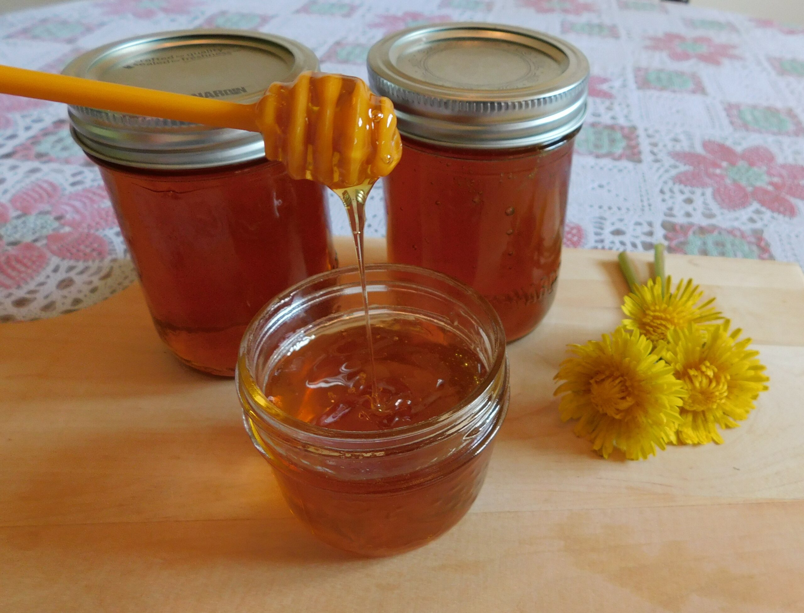 Dandelion Honey: A Sweet Delight Straight from Nature